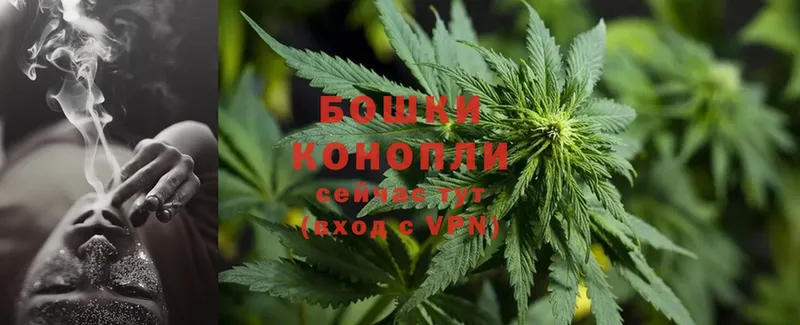 Бошки марихуана LSD WEED  купить  сайты  Городовиковск 